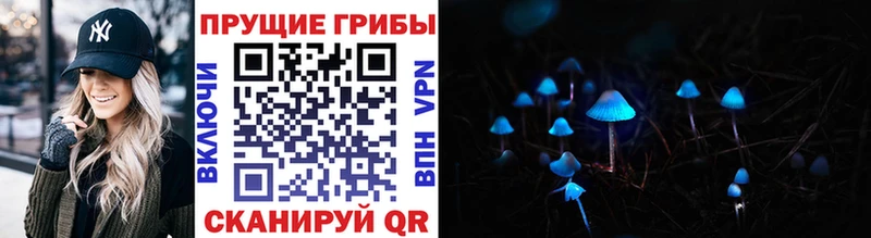 Галлюциногенные грибы ЛСД  как найти   Старый Крым 